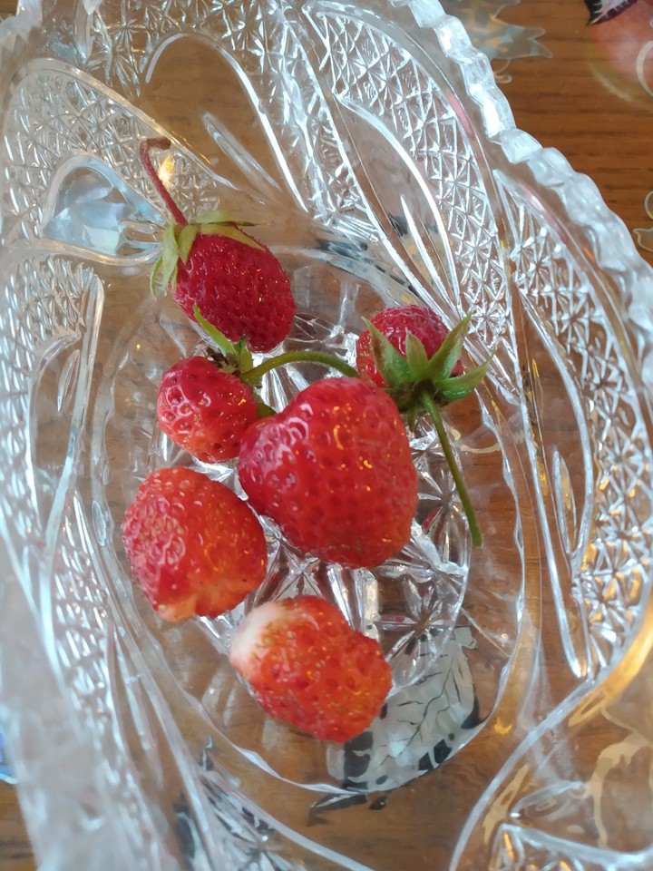 Strawberries