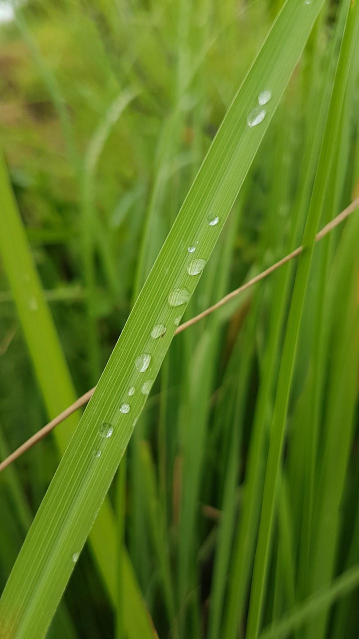 Click on S7 edge