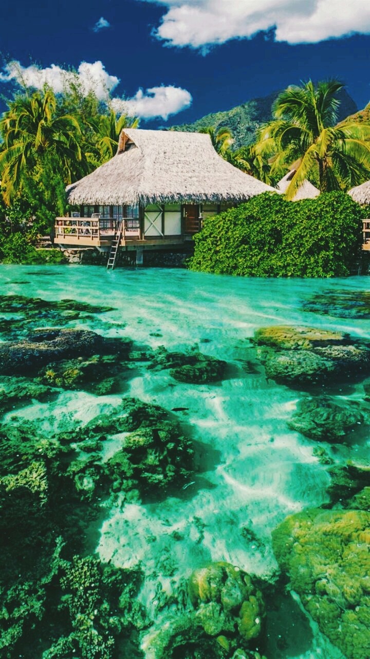 #nature