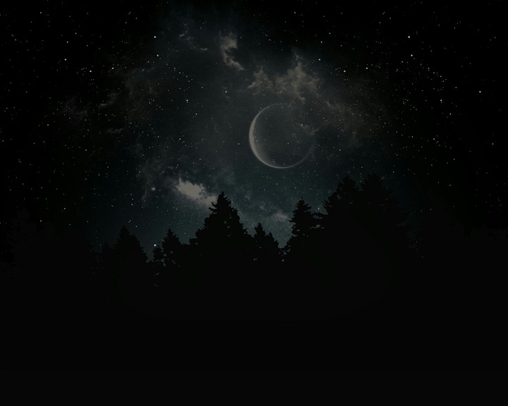 Moon Light