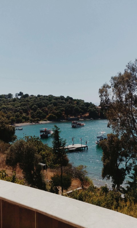 turkey