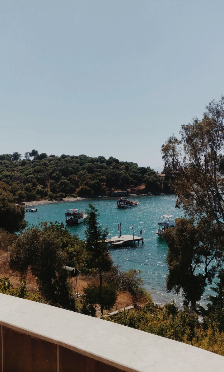 turkey