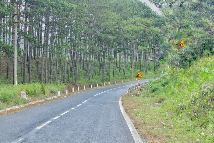 Some where in Đà Lạt