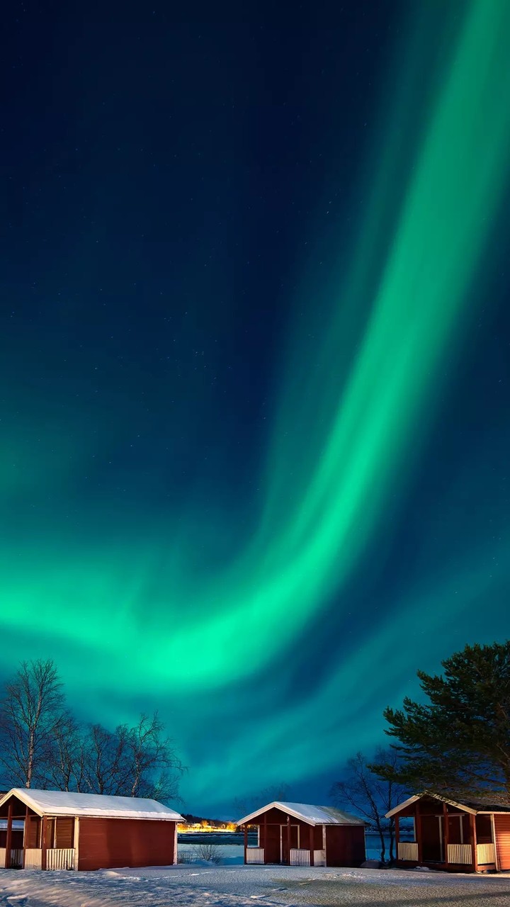 Wallpaper