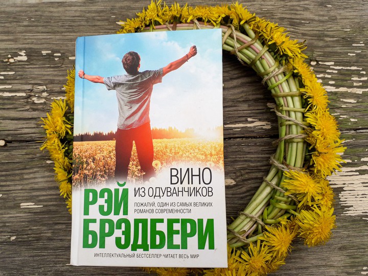 книга