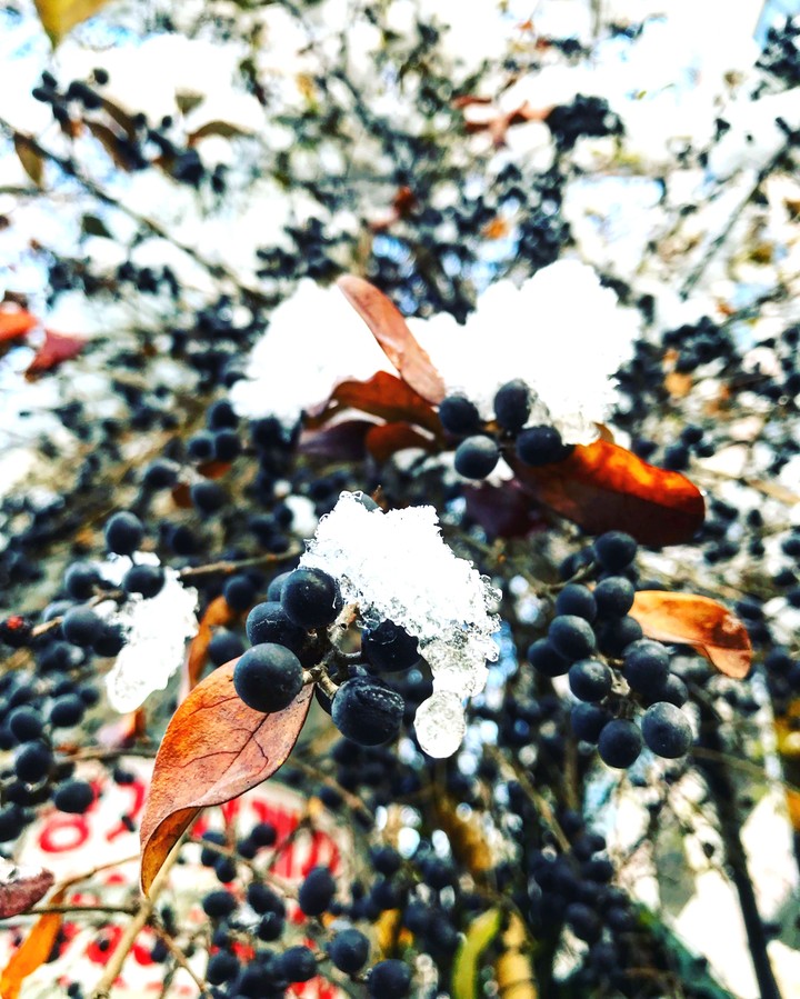 Winter
