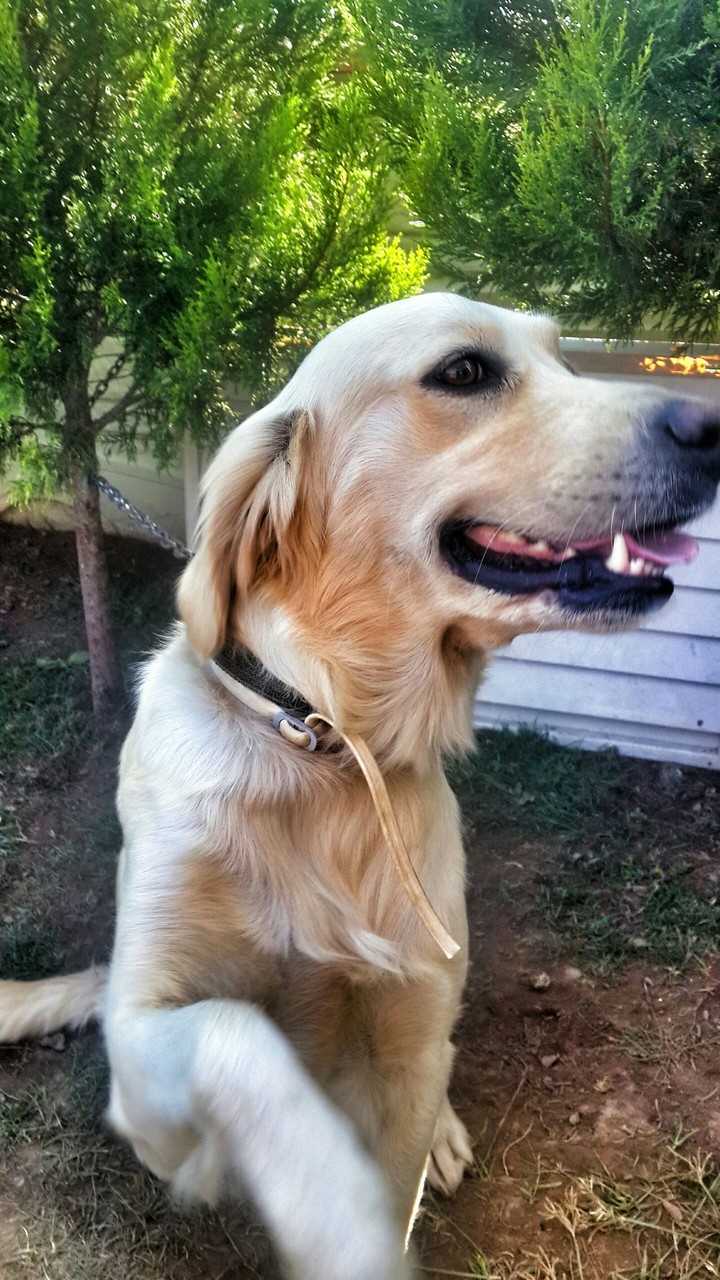 Hera