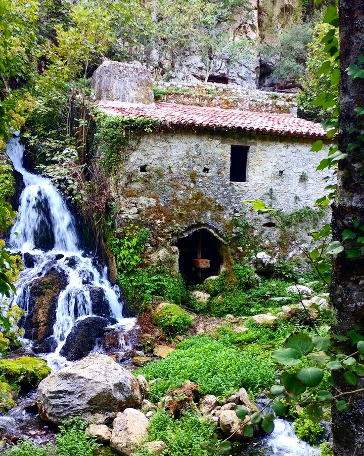 Mulino