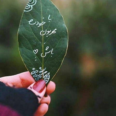 רקעים leaf, organism