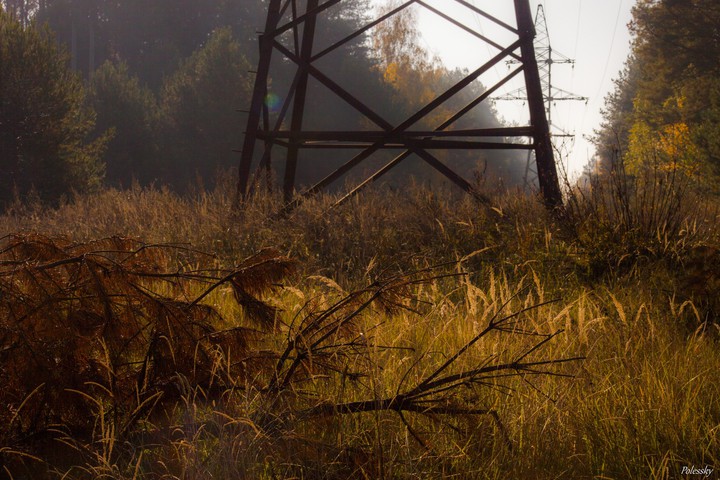 Chernobyl exclusion zone