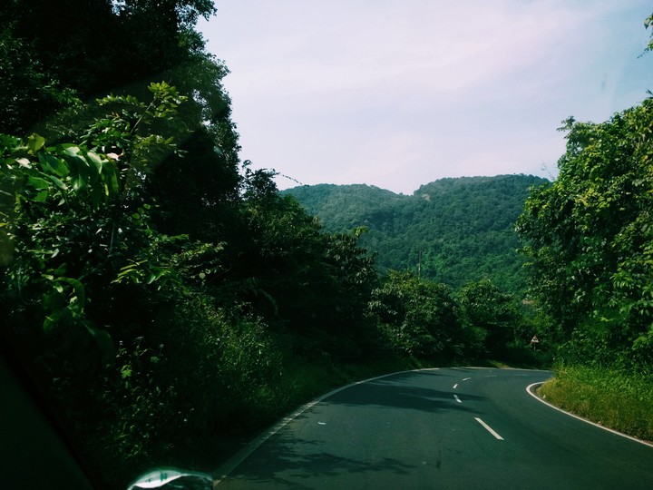nature
