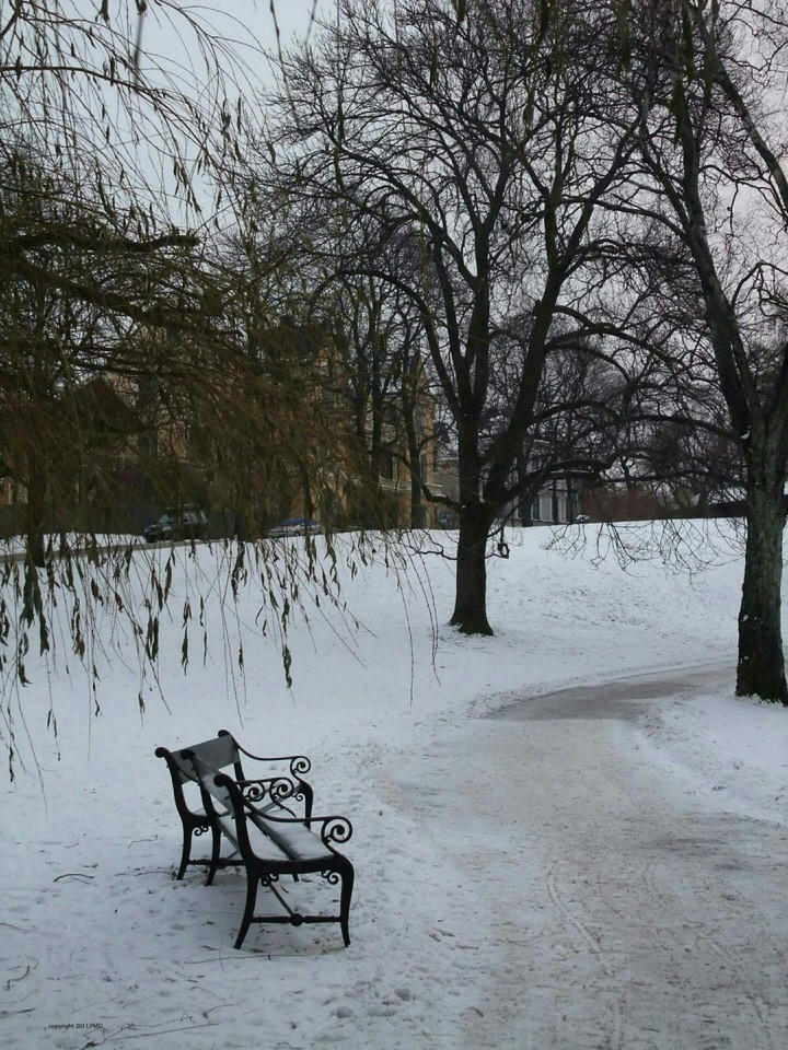 winter