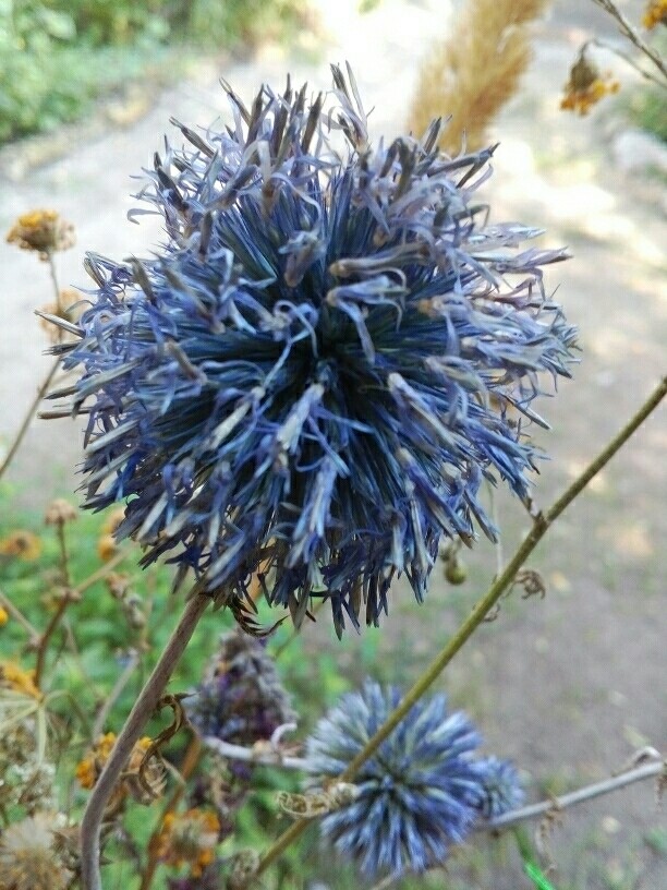 Nature