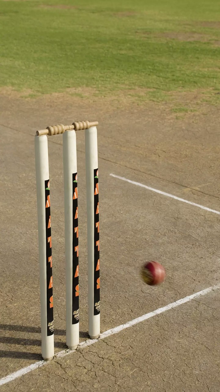 Cricket Stumps