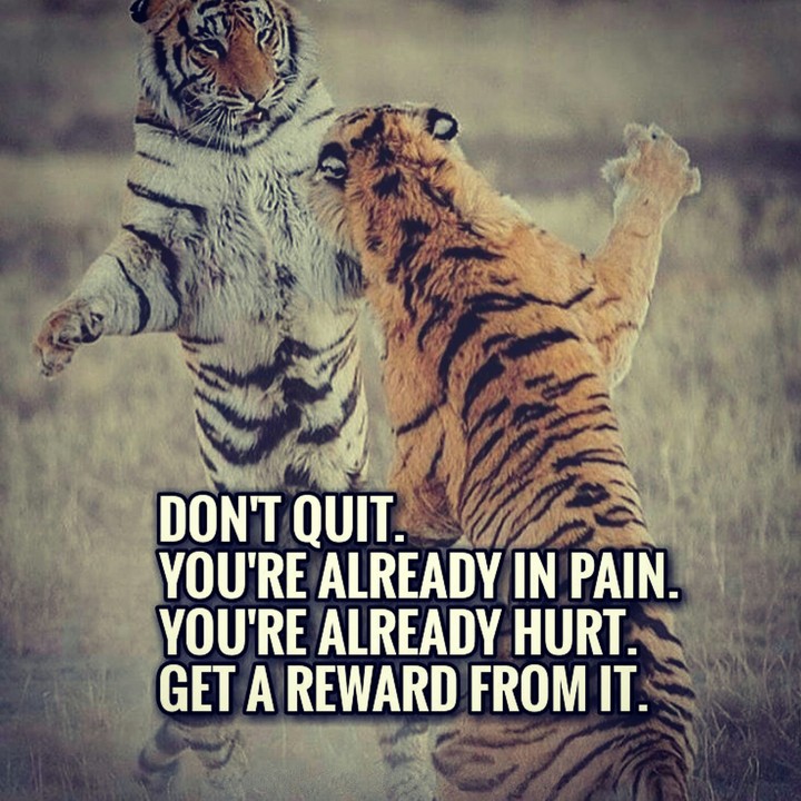 Don't Quit...