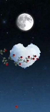 Good night and sweet dreams.