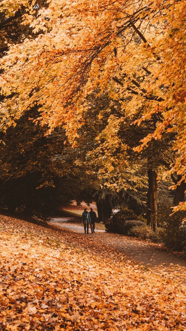 autumn