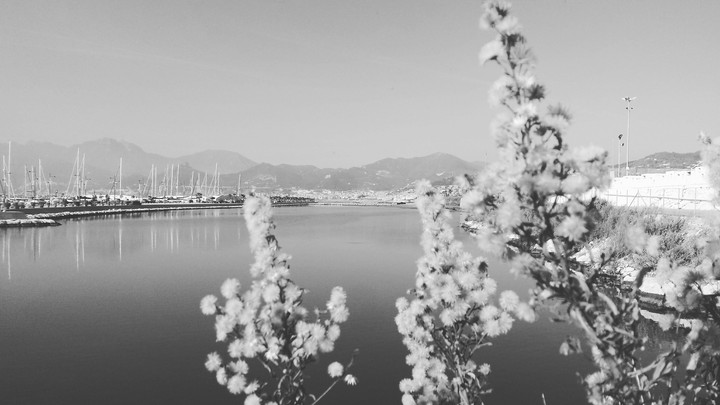 Salerno