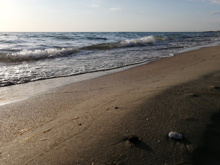 Sea