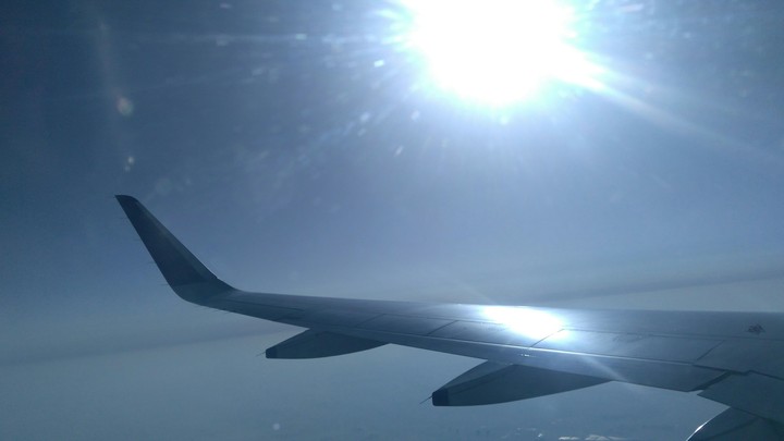 The wings.