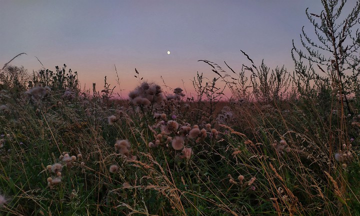 evening