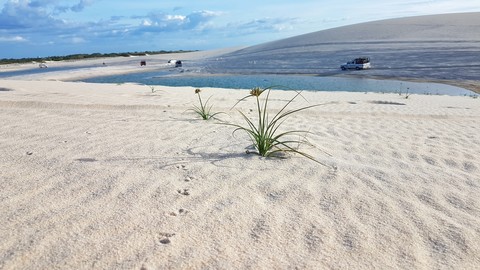 Jericoacoara