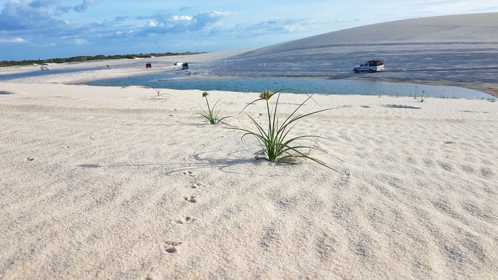 Jericoacoara