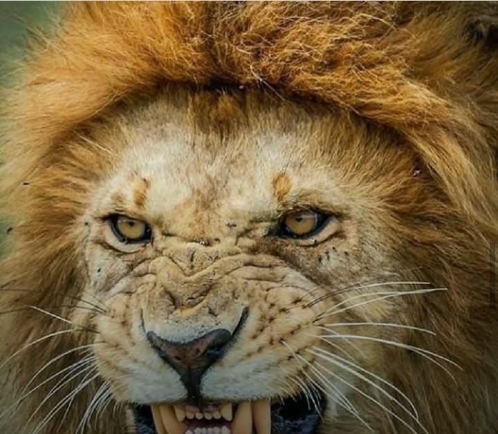 angry