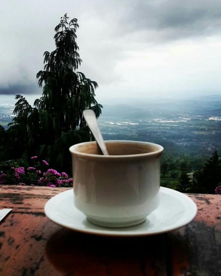 morning Coffee