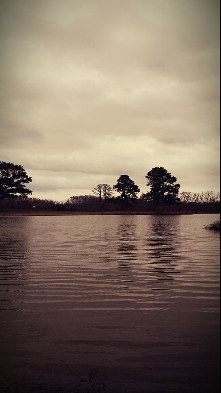 pond in the countryside
