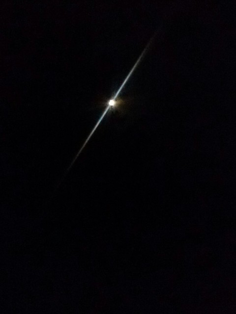 Nachtmond