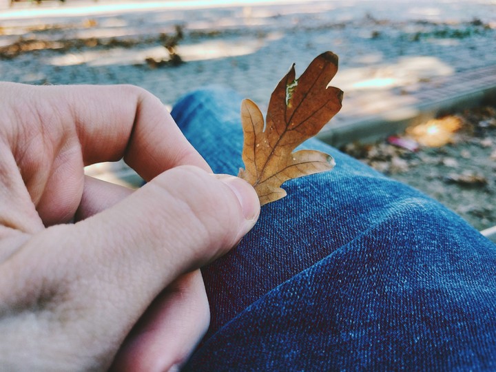 Autumn beauty