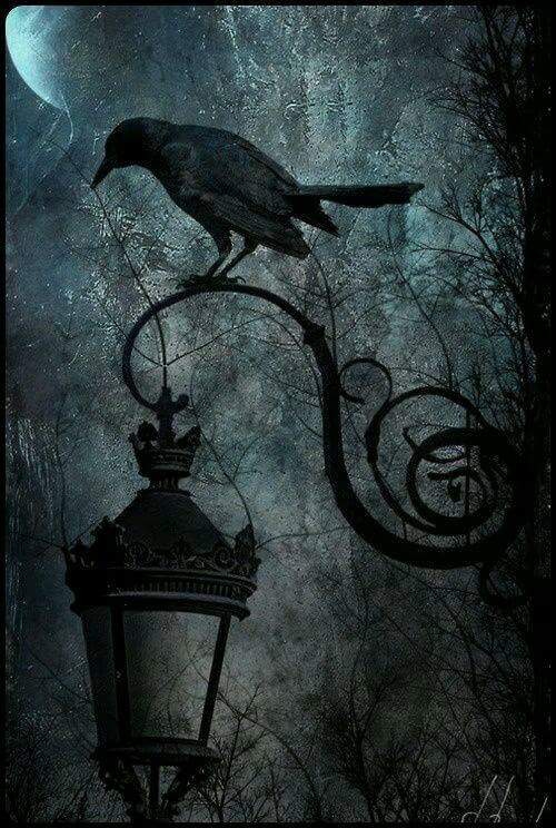 Raven