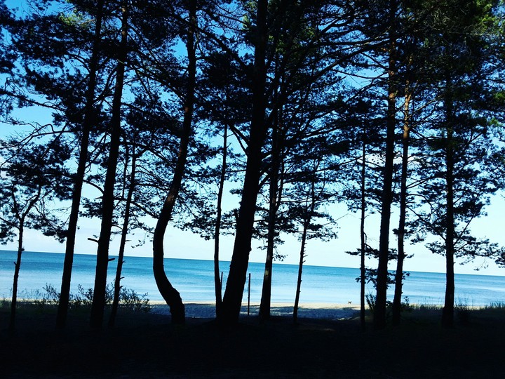 sea