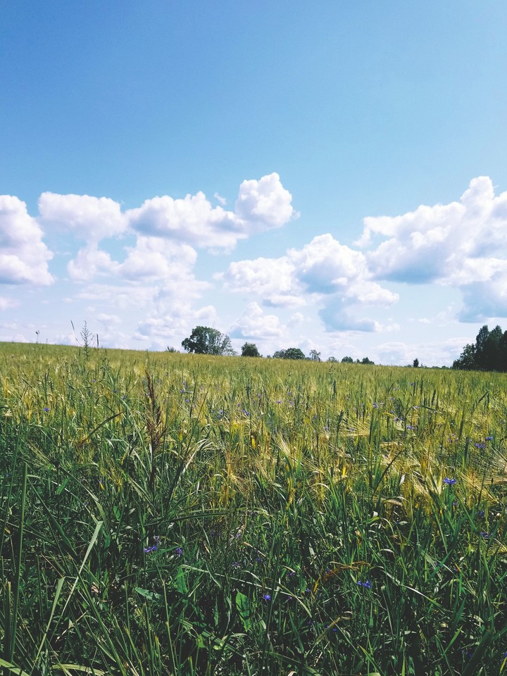 Lost in Latvian countryside.