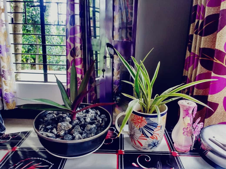 home decor