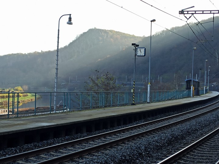 zdhch
