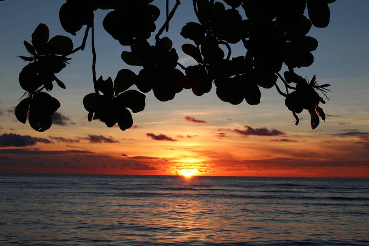 beautiful sunset
