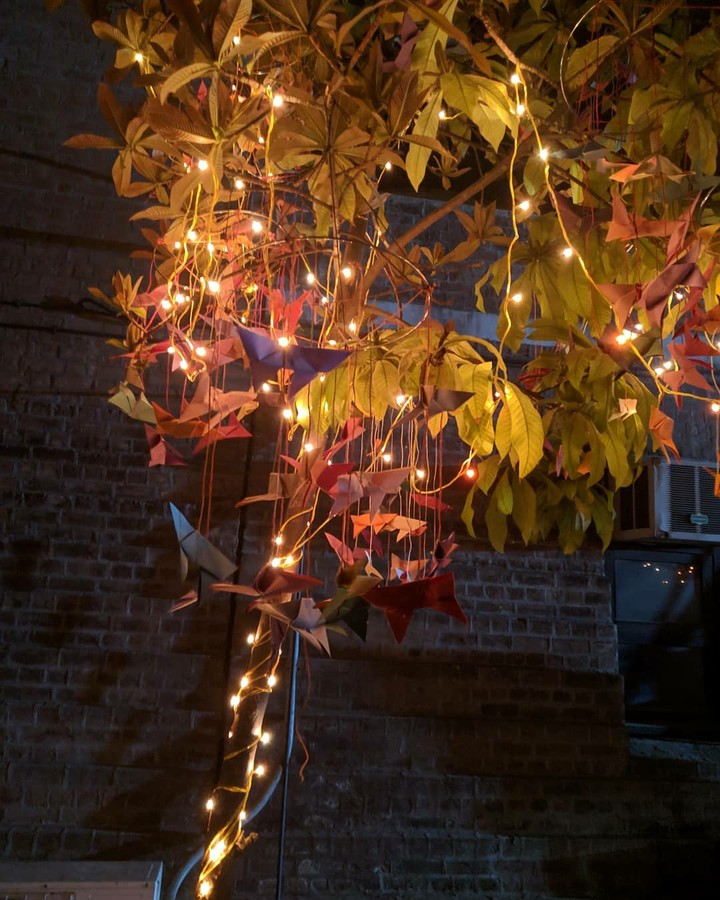 lights
