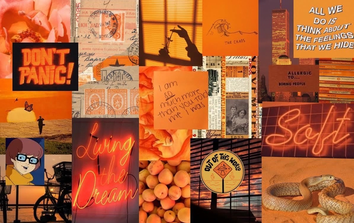 collage
