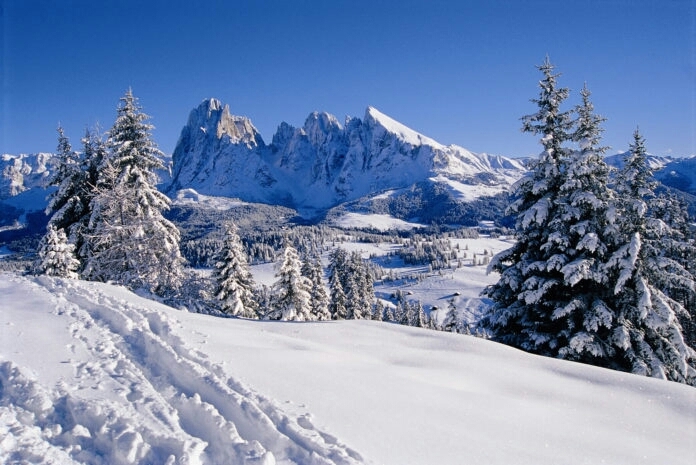 Winter in the mountains