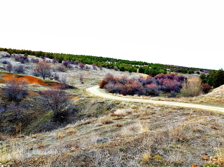 colors