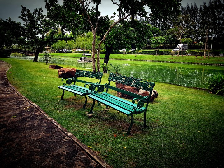 garden, Bangkok Thailand