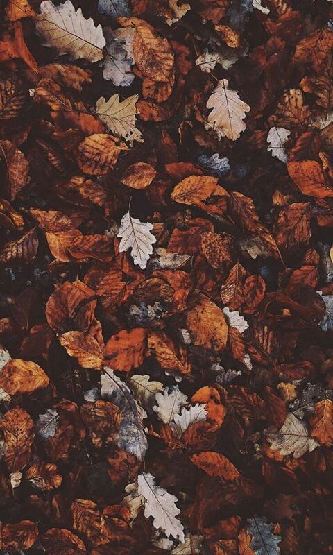 autumn