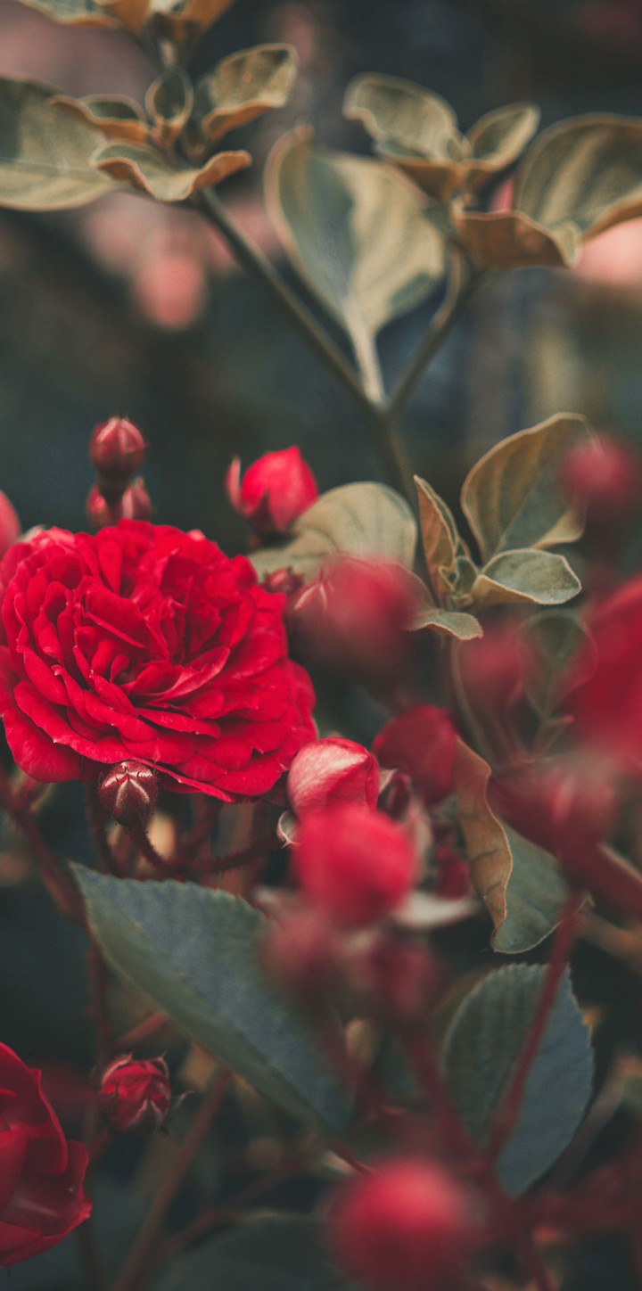 ♥
