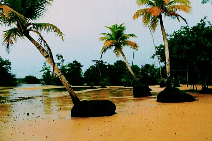 Barcarena, Pa. Brasil