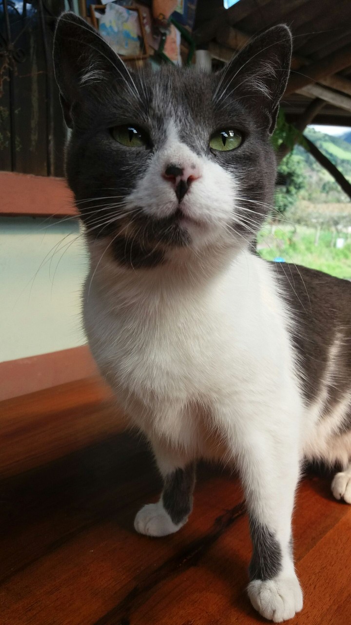 what are you looking?