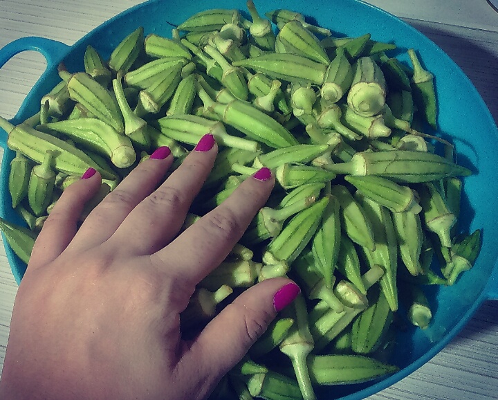 Green Okra, Southern Souvenir