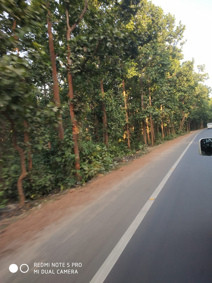 road