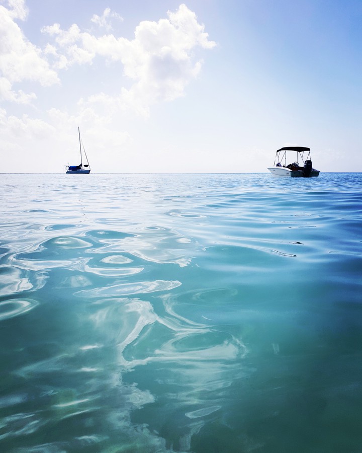 Ocean
